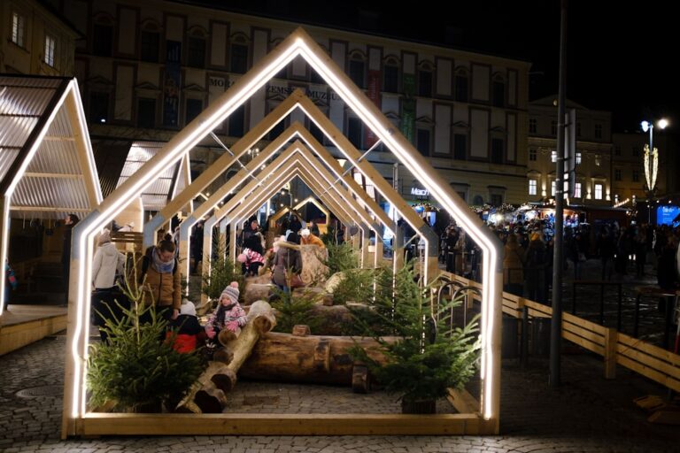 Atrakcje zimowe w Toruniu i okolicach – co robić w ferie?